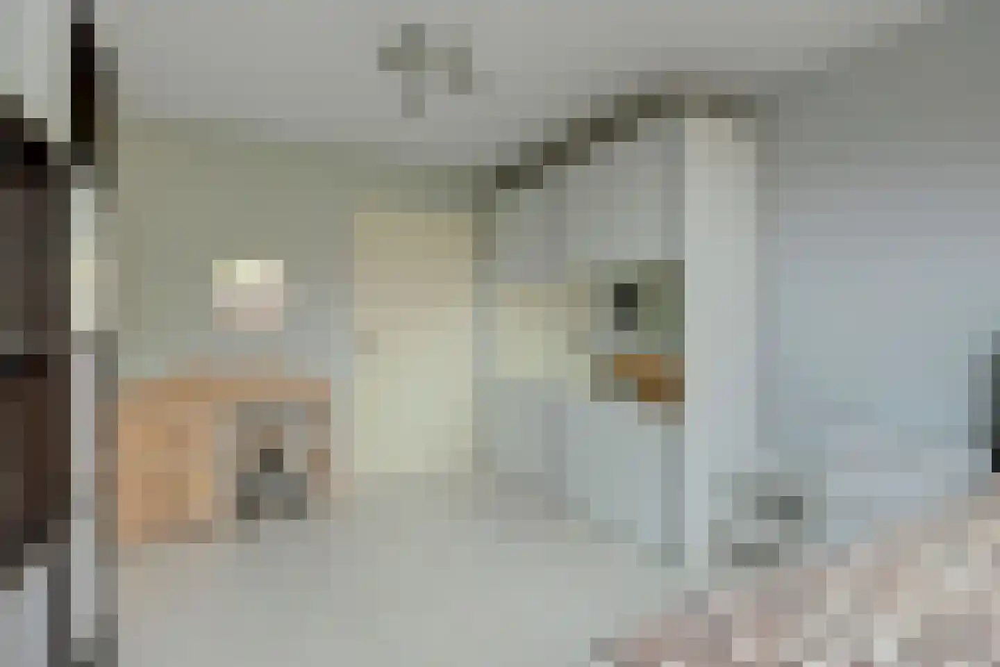 Noordelijke Achterweg 51 Wemeldinge thumbnail 30