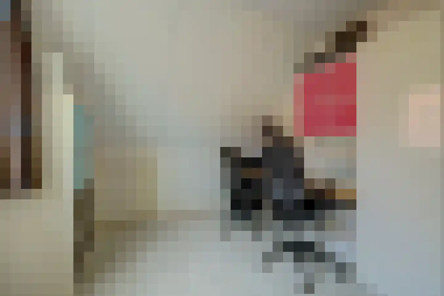 Noordelijke Achterweg 51 Wemeldinge thumbnail 31
