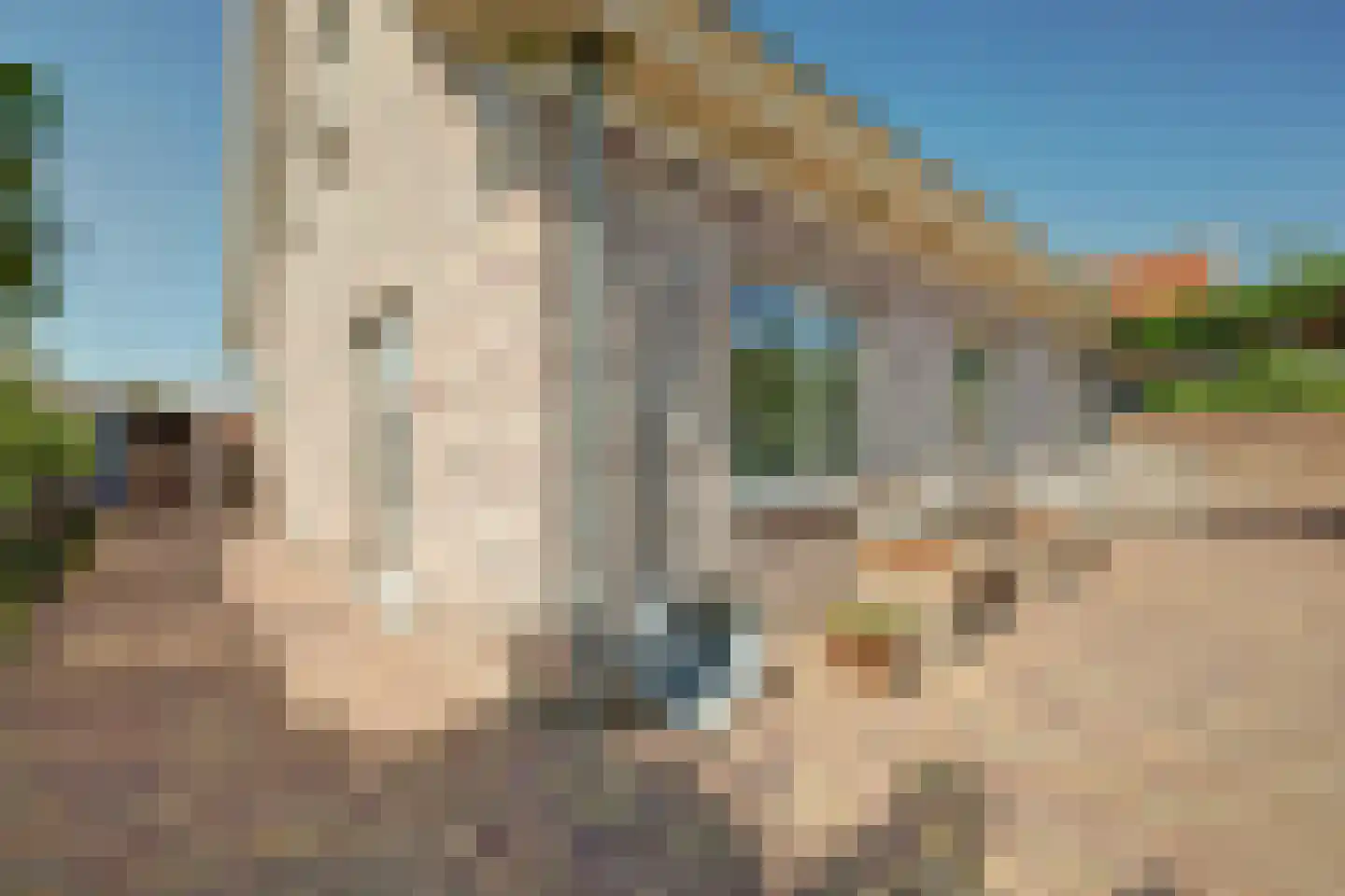 Noordelijke Achterweg 51 Wemeldinge thumbnail 34
