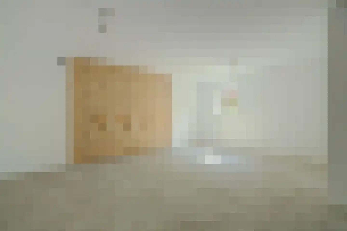 Noordelijke Achterweg 51 Wemeldinge thumbnail 37