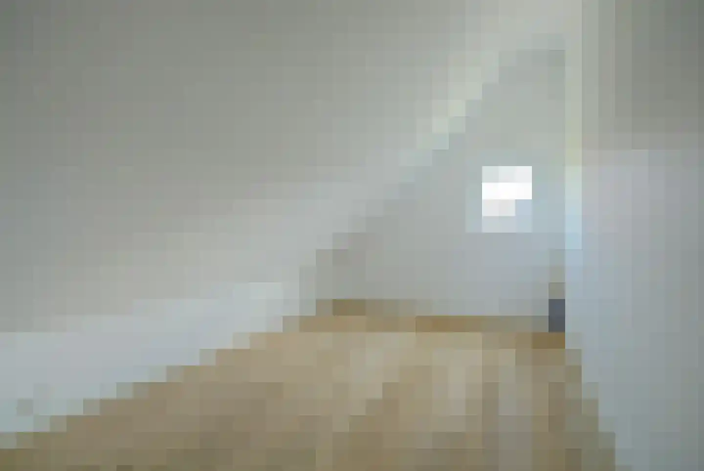 Noordelijke Achterweg 51 Wemeldinge thumbnail 45