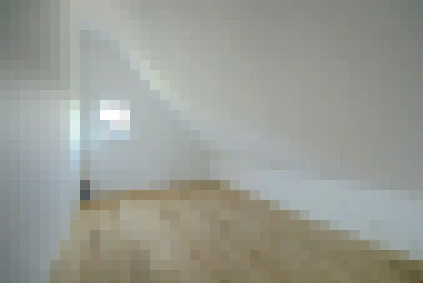 Noordelijke Achterweg 51 Wemeldinge thumbnail 46