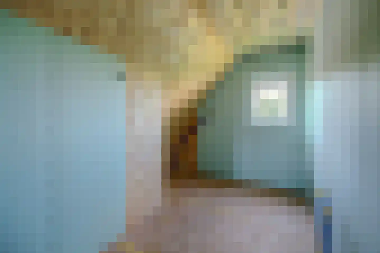 Noordelijke Achterweg 51 Wemeldinge thumbnail 47