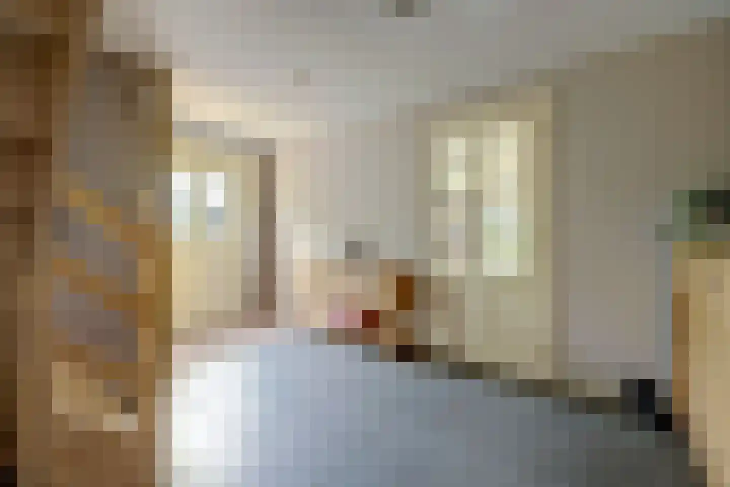 Noordelijke Achterweg 51 Wemeldinge thumbnail 5