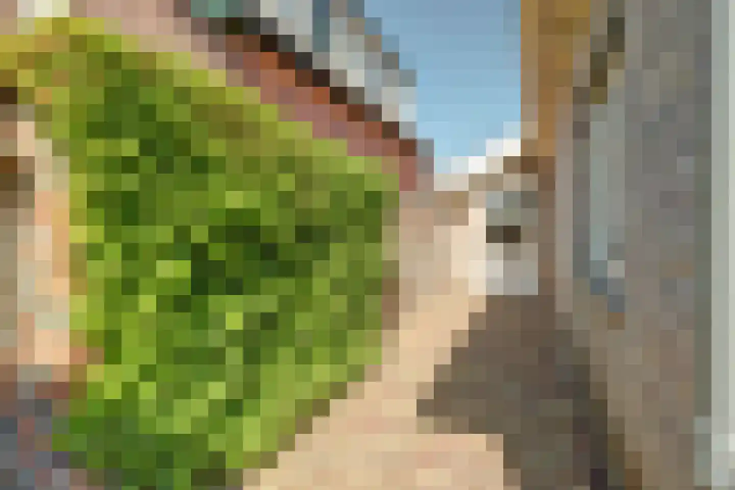 Noordelijke Achterweg 51 Wemeldinge thumbnail 51