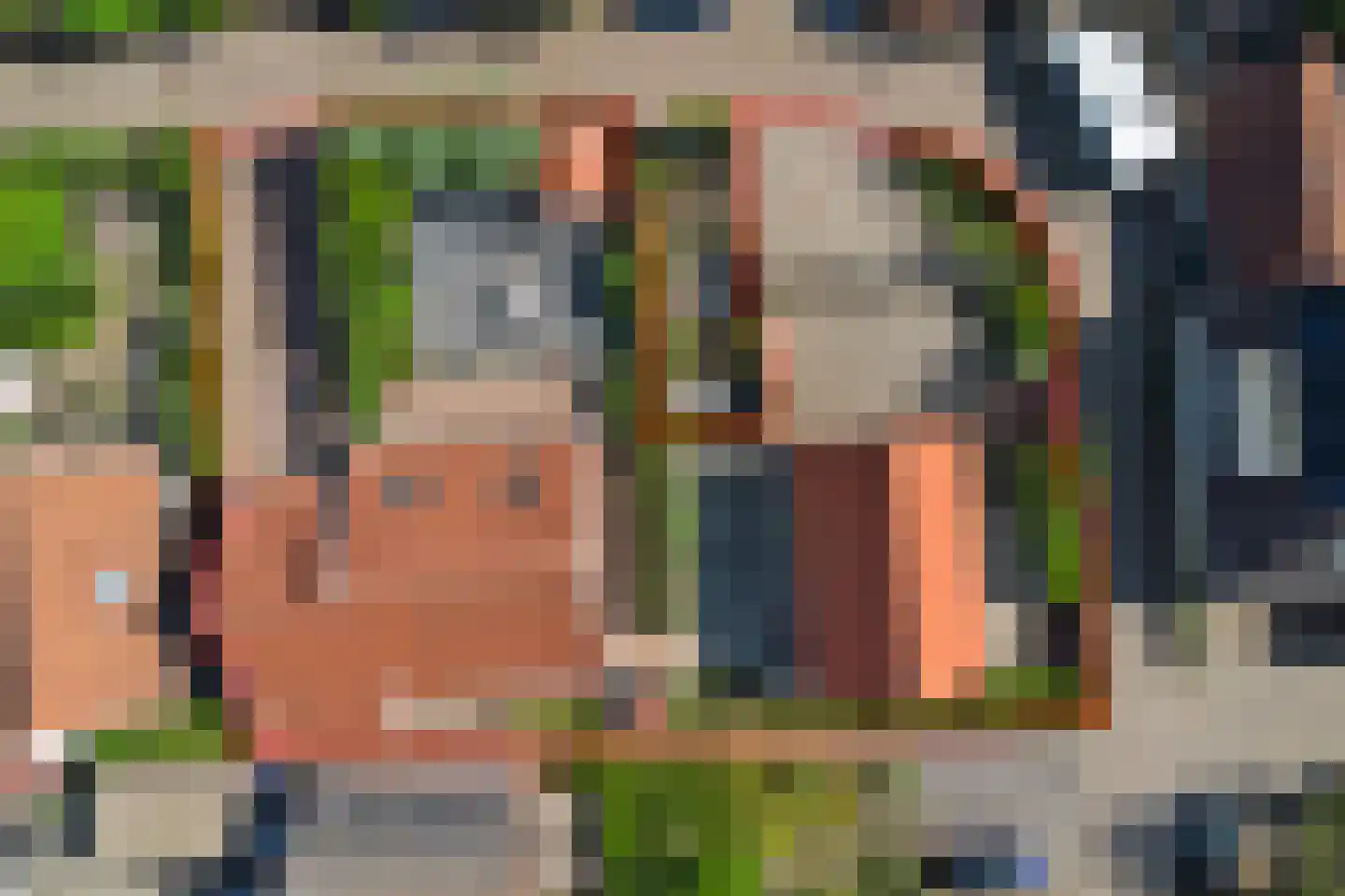Noordelijke Achterweg 51 Wemeldinge thumbnail 57