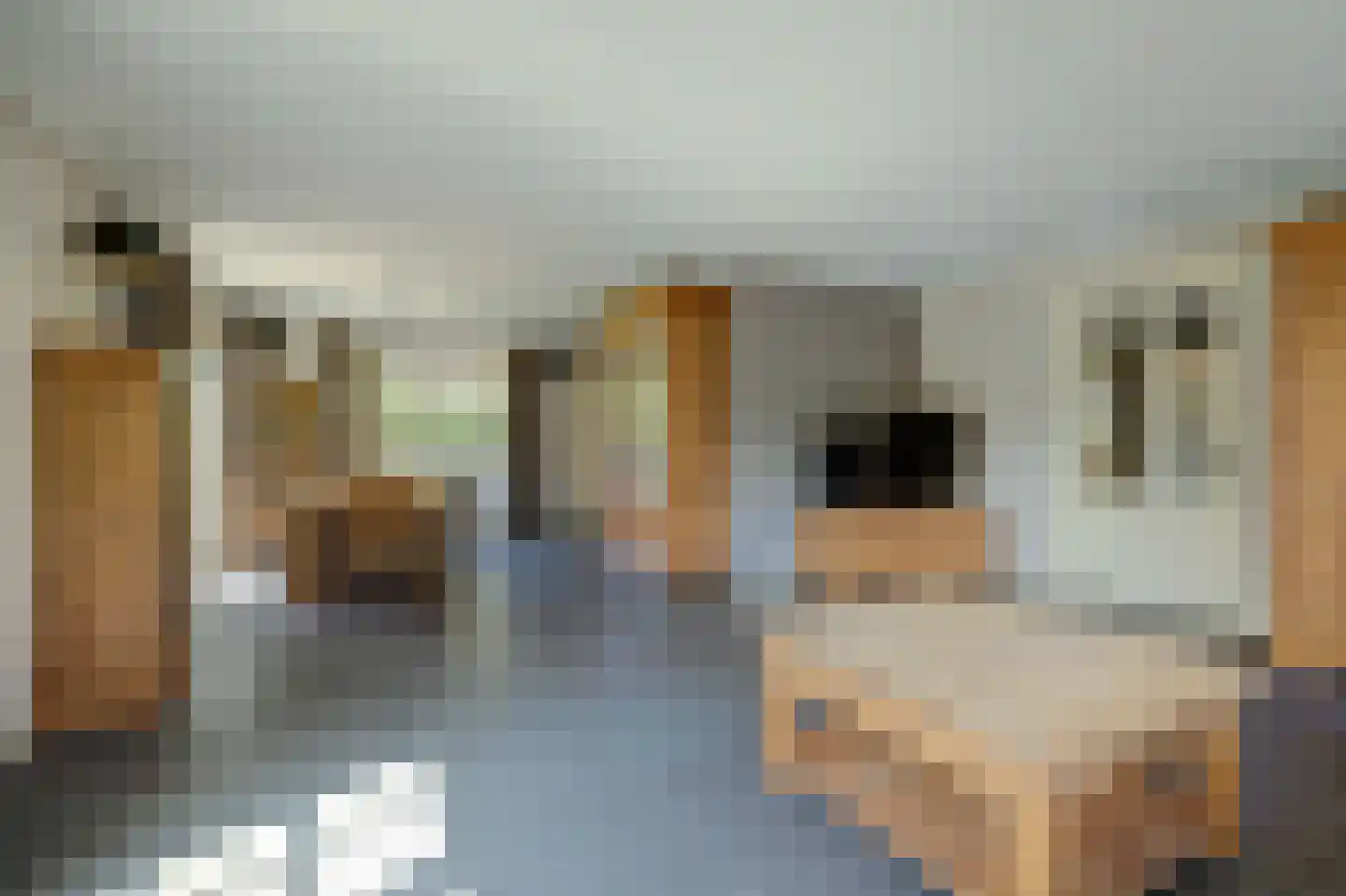 Noordelijke Achterweg 51 Wemeldinge thumbnail 9
