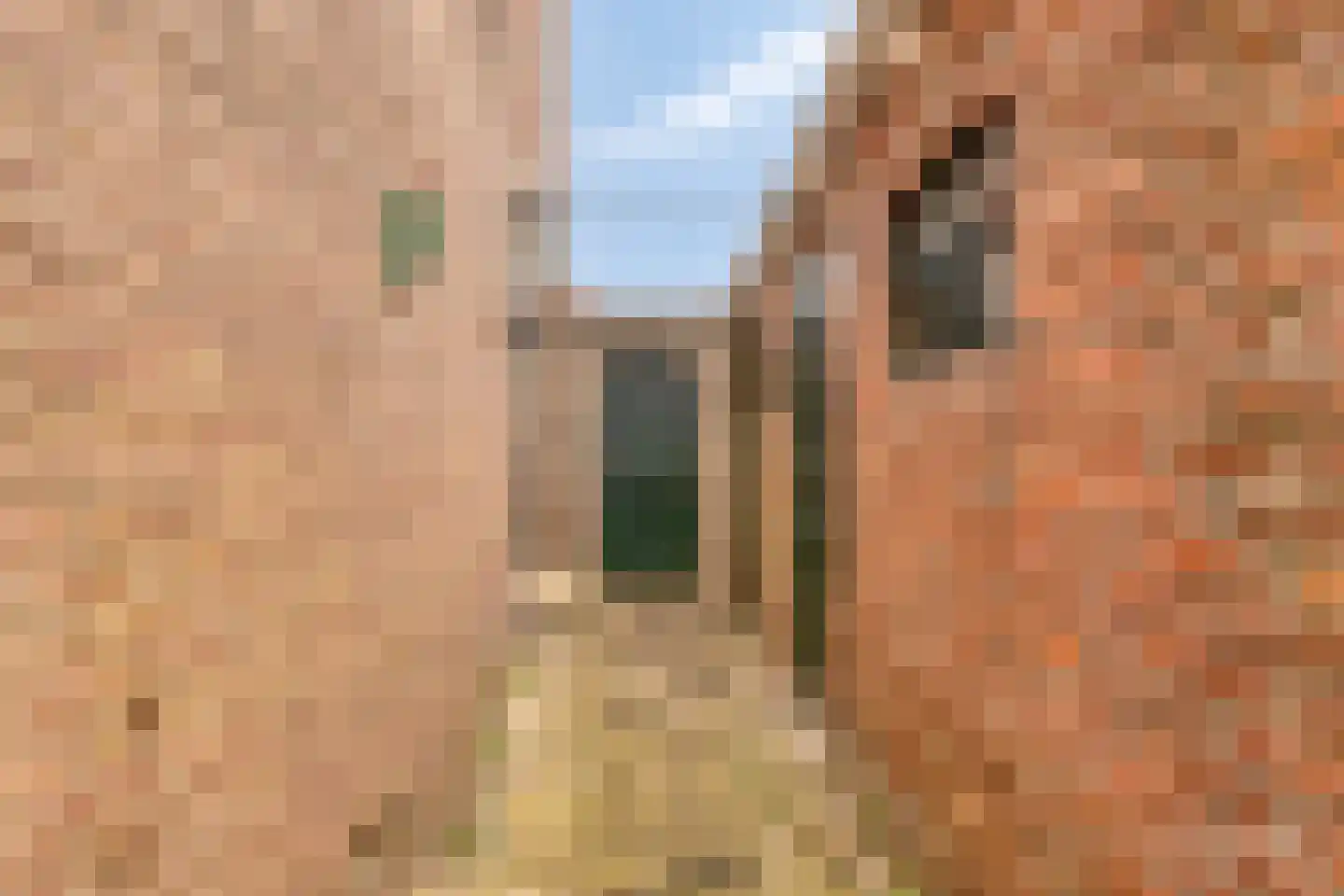 Noordelijke Achterweg 71 Wemeldinge thumbnail 10