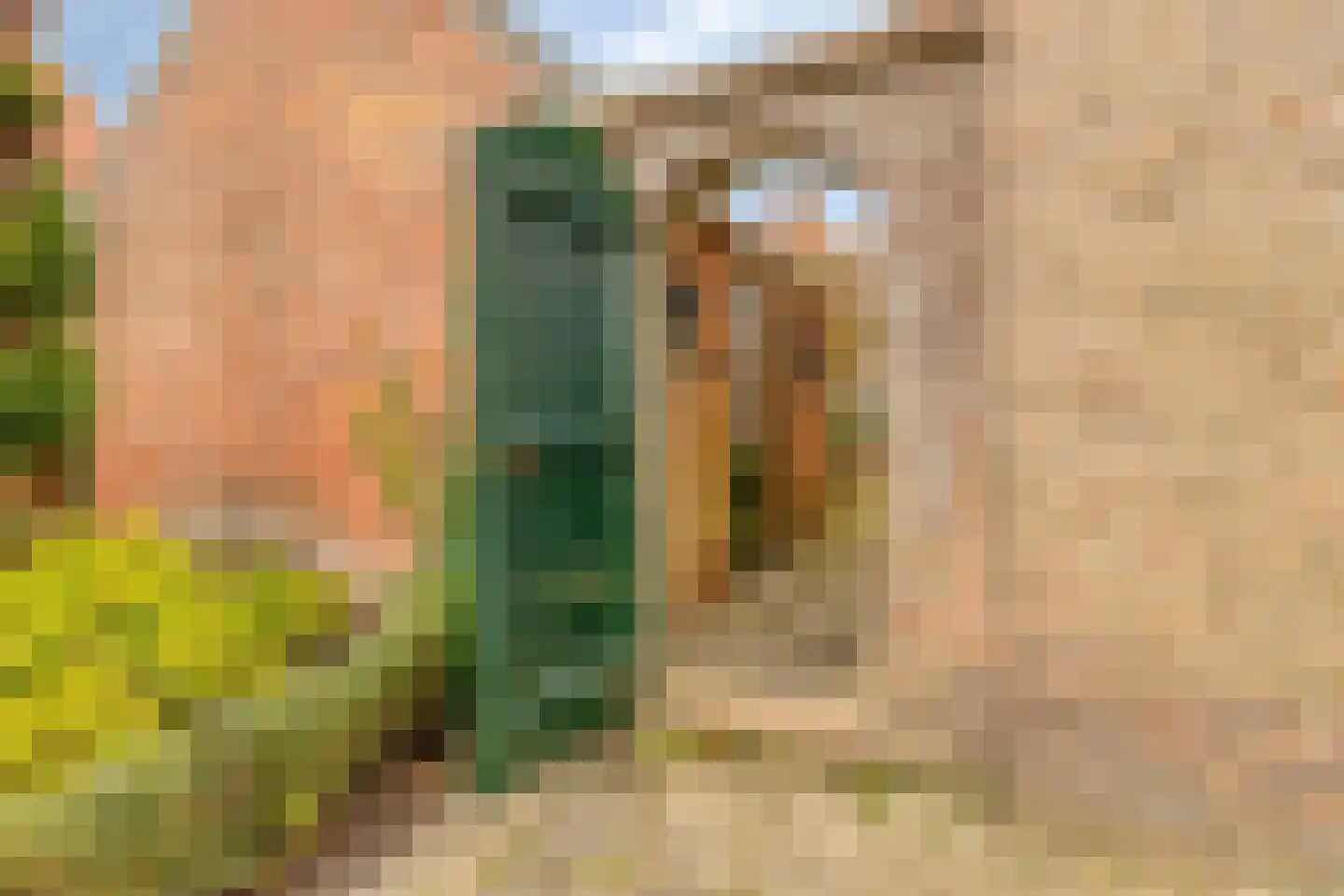 Noordelijke Achterweg 71 Wemeldinge thumbnail 11
