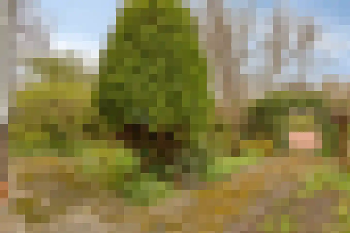 Noordelijke Achterweg 71 Wemeldinge thumbnail 13