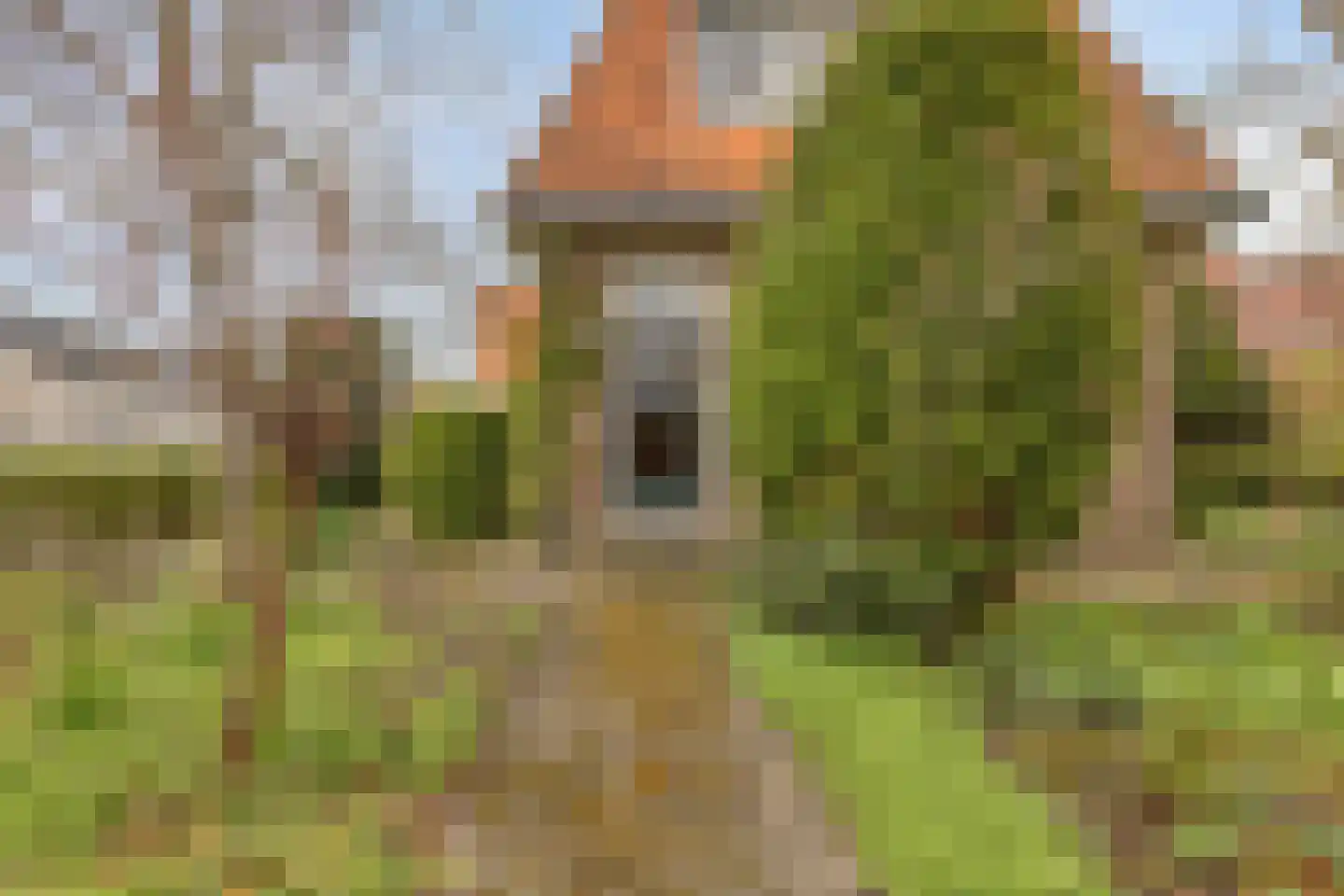 Noordelijke Achterweg 71 Wemeldinge thumbnail 14