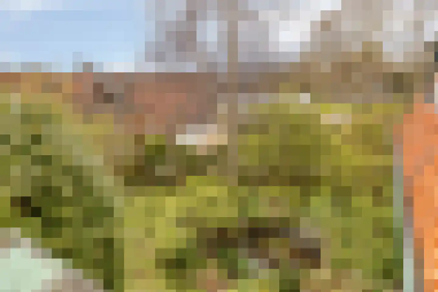 Noordelijke Achterweg 71 Wemeldinge thumbnail 35