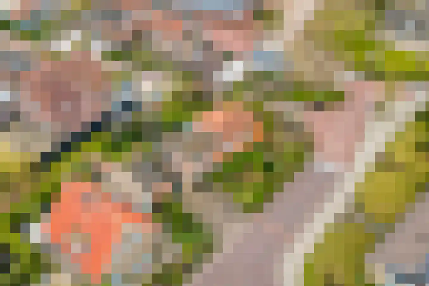 Noordelijke Achterweg 71 Wemeldinge thumbnail 36