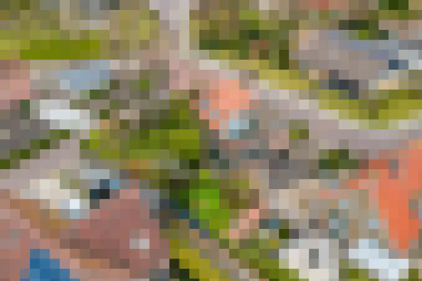 Noordelijke Achterweg 71 Wemeldinge thumbnail 37