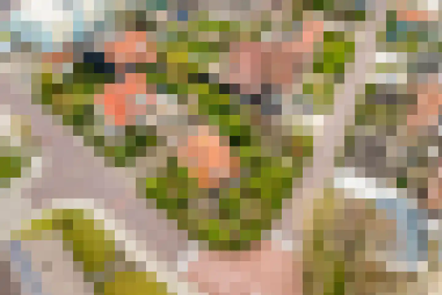 Noordelijke Achterweg 71 Wemeldinge thumbnail 43