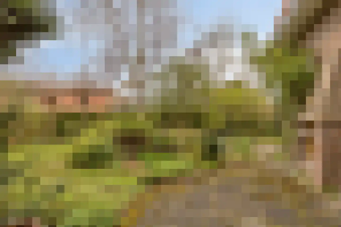Noordelijke Achterweg 71 Wemeldinge thumbnail 5