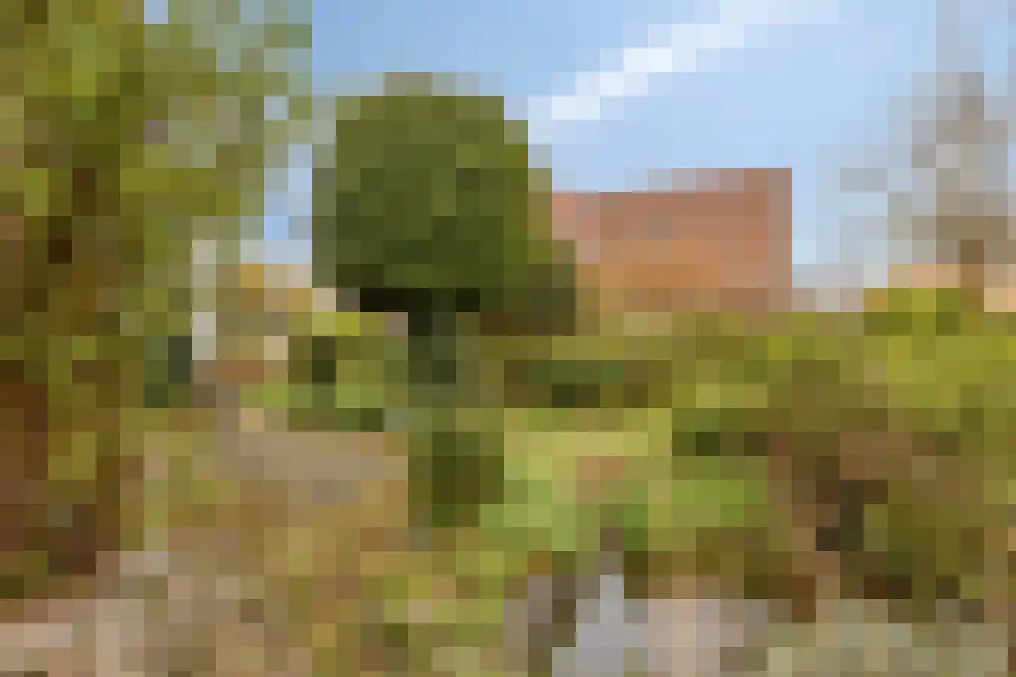 Noordelijke Achterweg 71 Wemeldinge thumbnail 6