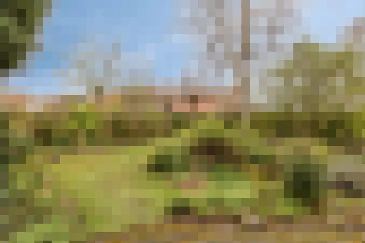 Noordelijke Achterweg 71 Wemeldinge thumbnail 7