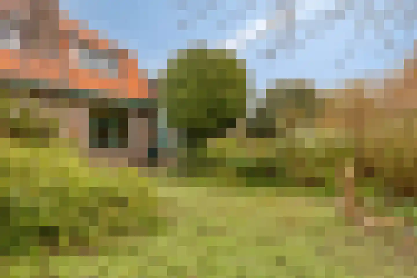 Noordelijke Achterweg 71 Wemeldinge thumbnail 8