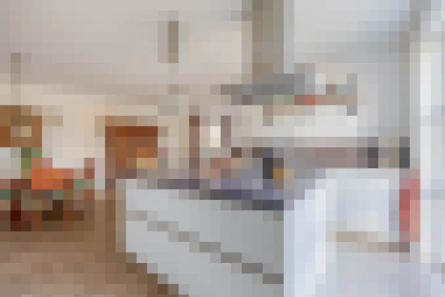 Noordelijke Dwarsweg 5 Zevenhuizen thumbnail 11