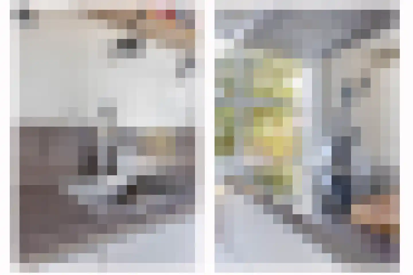 Noordelijke Dwarsweg 5 Zevenhuizen thumbnail 12