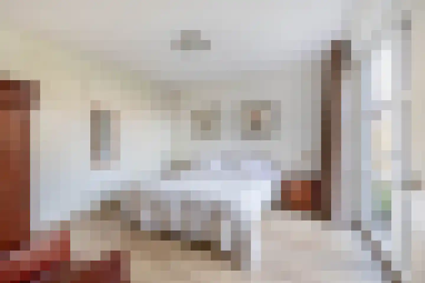 Noordelijke Dwarsweg 5 Zevenhuizen thumbnail 13