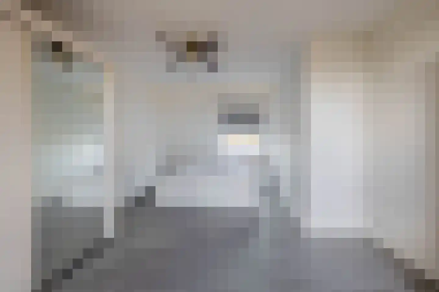 Noordelijke Dwarsweg 5 Zevenhuizen thumbnail 19