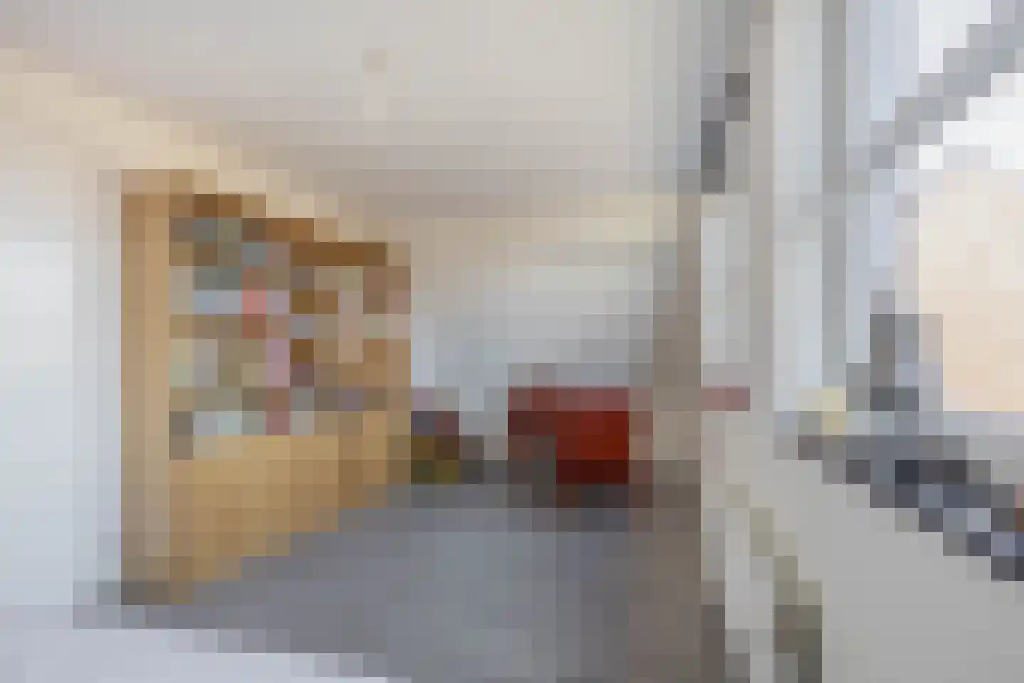 Noordelijke Dwarsweg 5 Zevenhuizen thumbnail 22