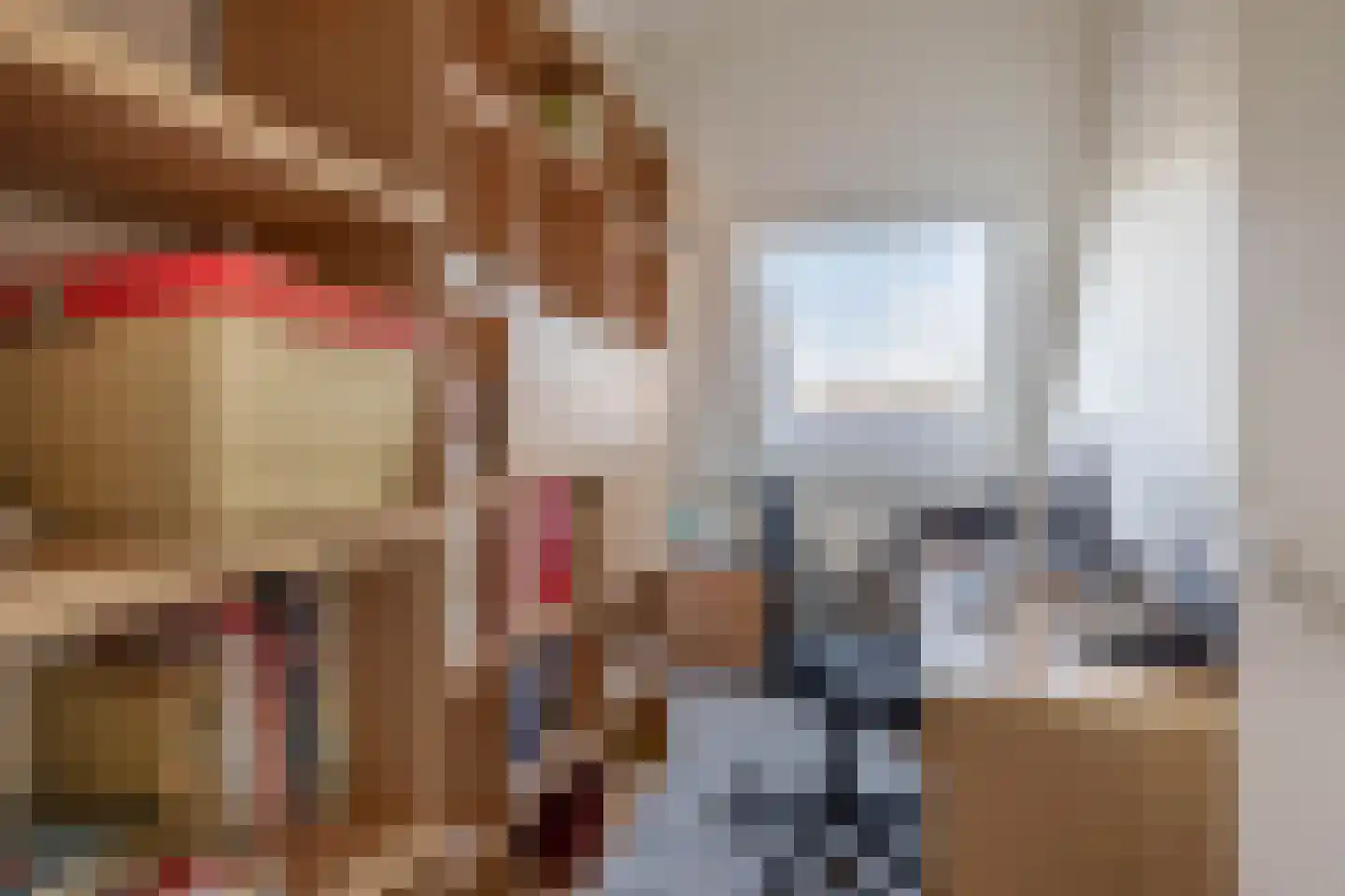 Noordelijke Dwarsweg 5 Zevenhuizen thumbnail 23