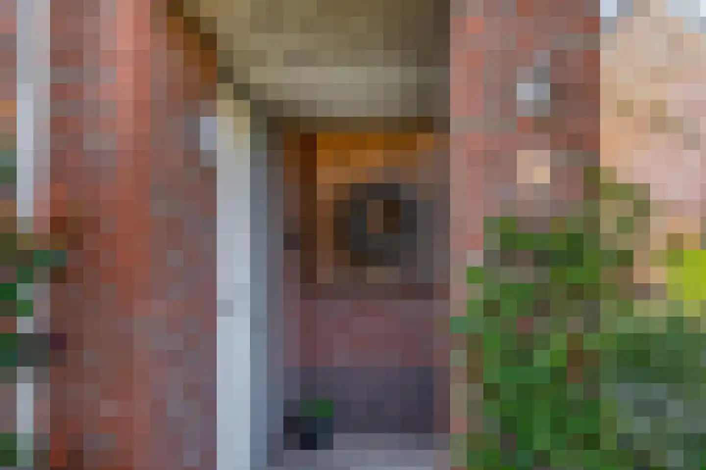 Noordelijke Dwarsweg 5 Zevenhuizen thumbnail 4