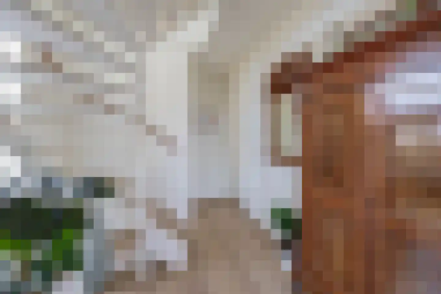 Noordelijke Dwarsweg 5 Zevenhuizen thumbnail 5