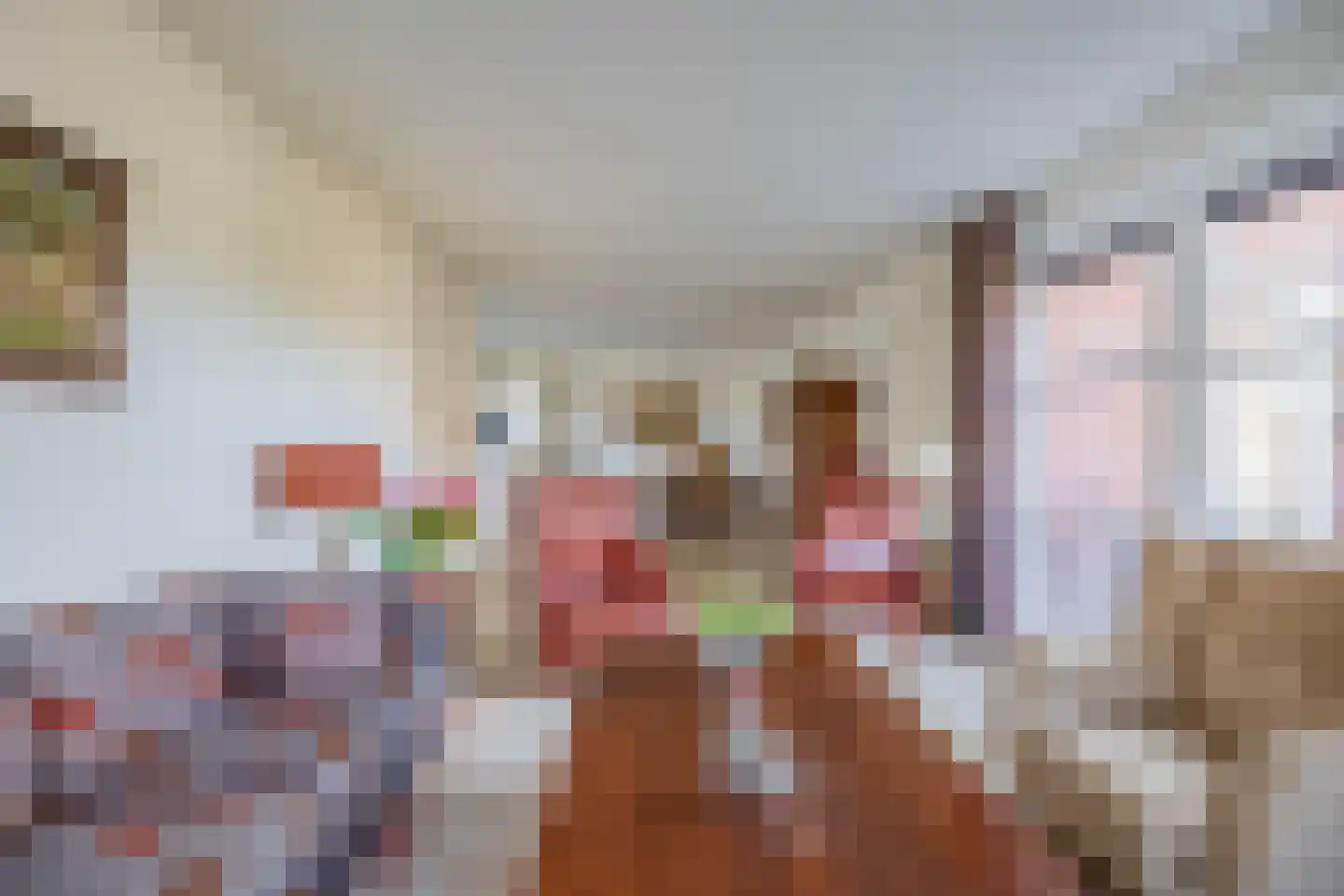 Noordelijke Dwarsweg 5 Zevenhuizen thumbnail 8
