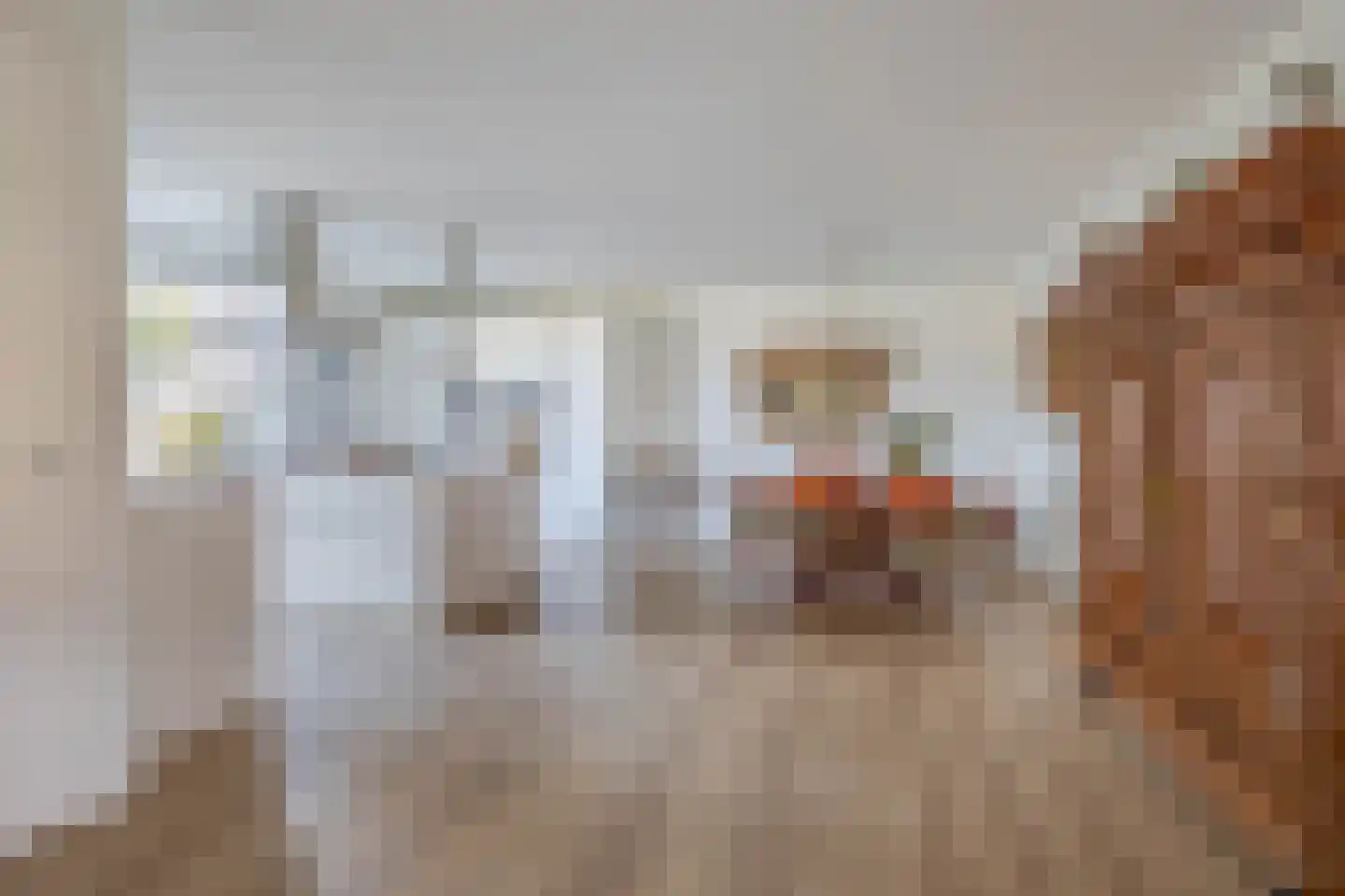 Noordelijke Dwarsweg 5 Zevenhuizen thumbnail 9
