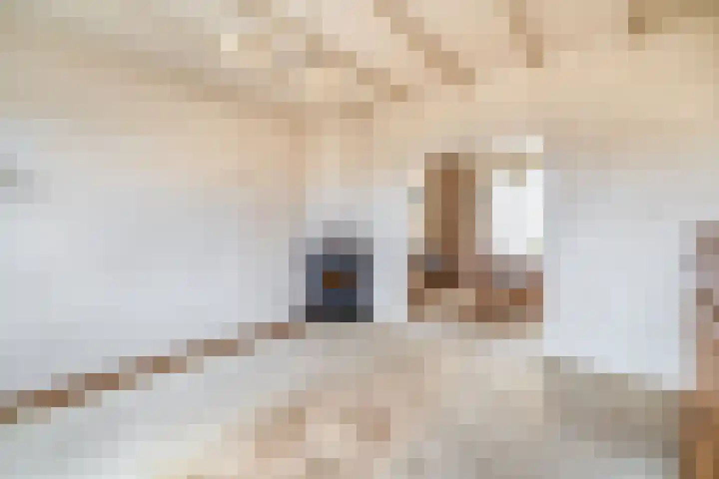 Noordelijke Dwarsweg 9 Zevenhuizen thumbnail 11