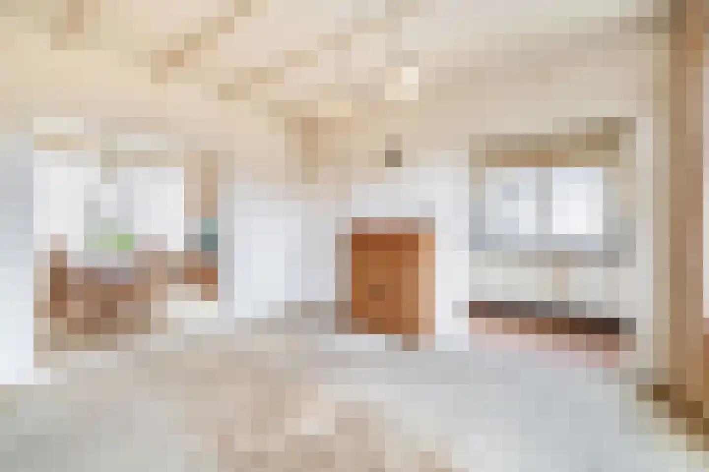 Noordelijke Dwarsweg 9 Zevenhuizen thumbnail 12