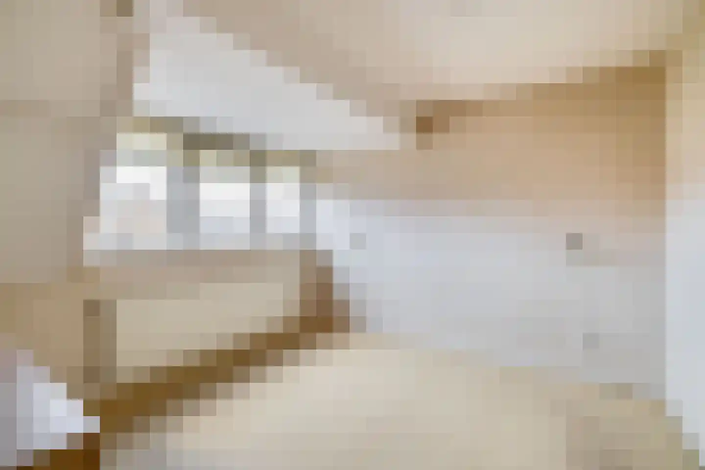 Noordelijke Dwarsweg 9 Zevenhuizen thumbnail 20