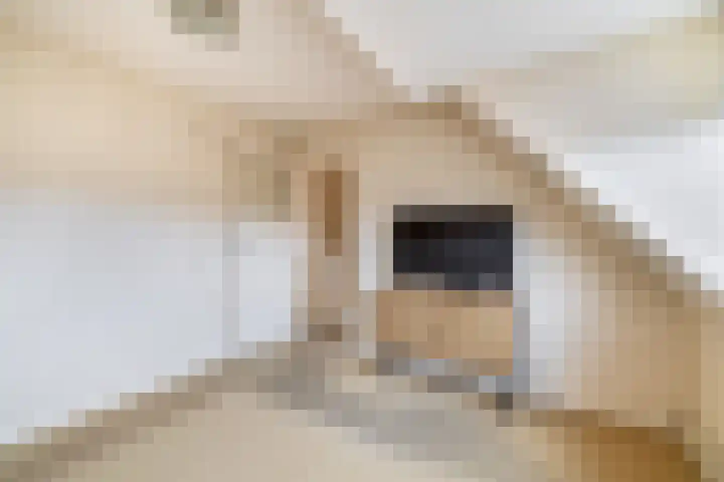 Noordelijke Dwarsweg 9 Zevenhuizen thumbnail 21