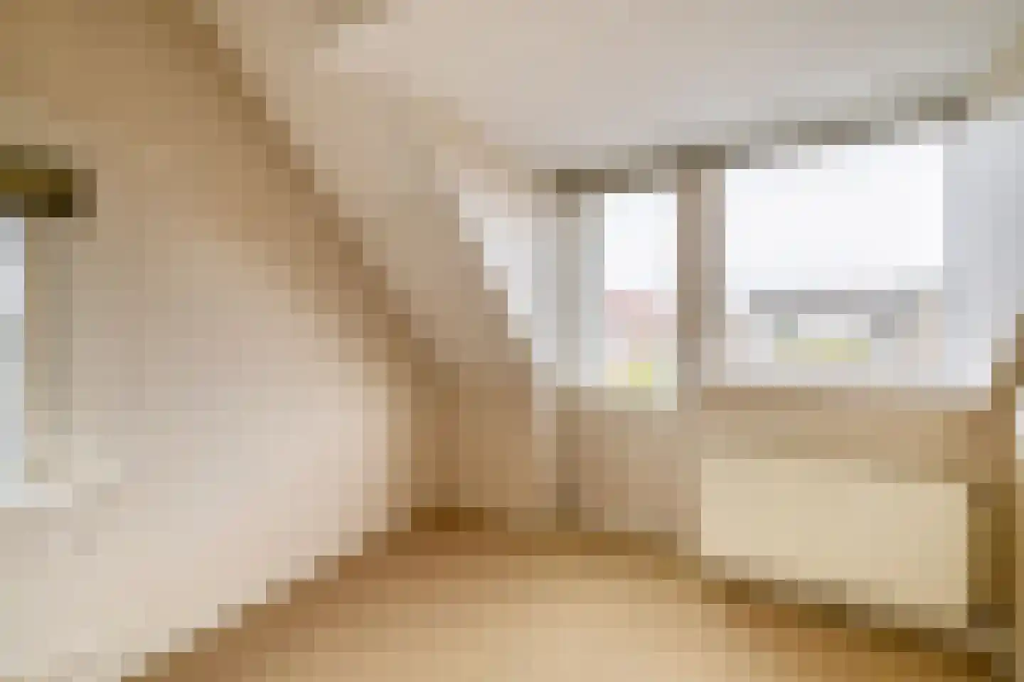 Noordelijke Dwarsweg 9 Zevenhuizen thumbnail 26