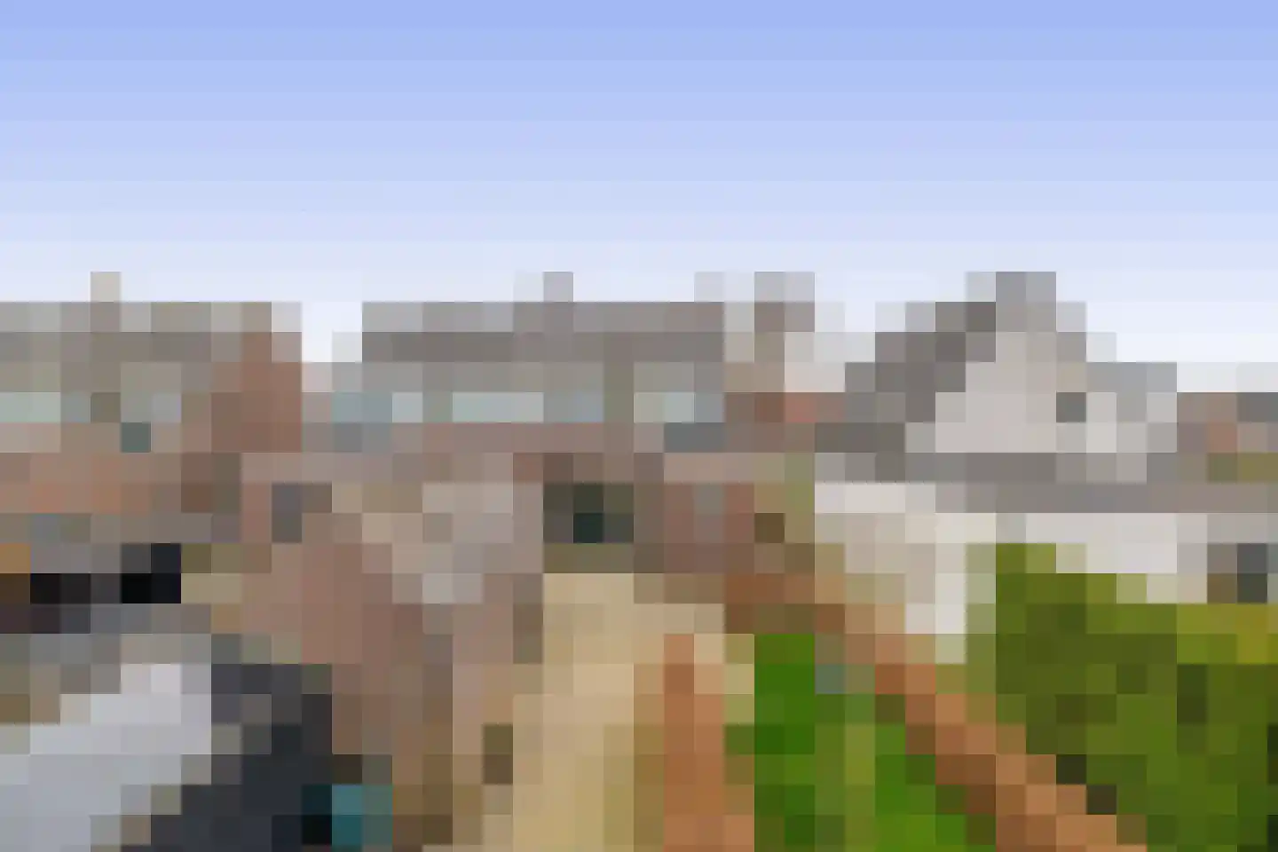 Noordelijke Dwarsweg 9 Zevenhuizen thumbnail 29