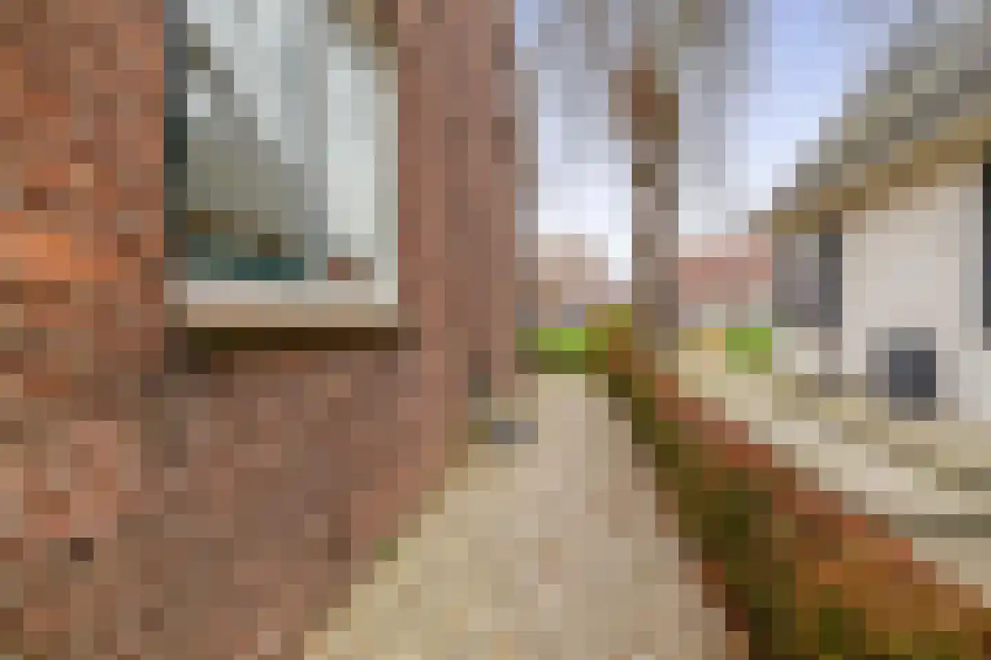 Noordelijke Dwarsweg 9 Zevenhuizen thumbnail 33