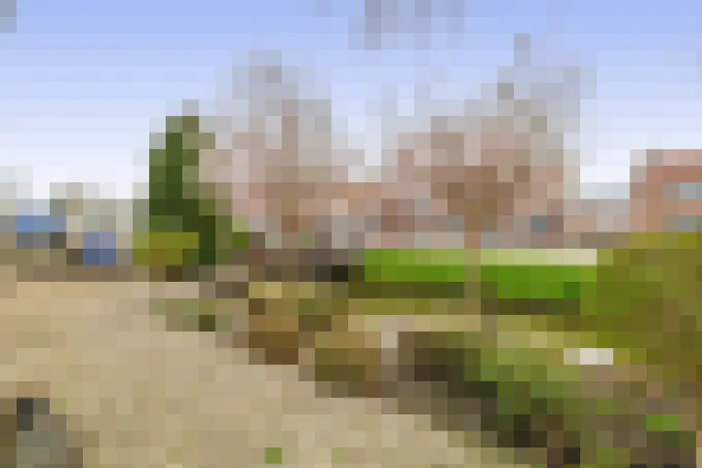 Noordelijke Dwarsweg 9 Zevenhuizen thumbnail 35