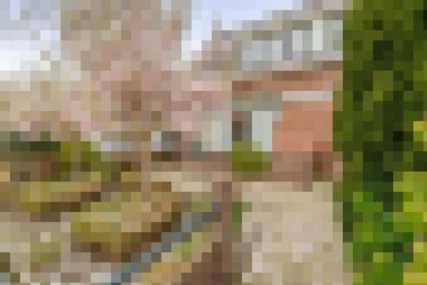 Noordelijke Dwarsweg 9 Zevenhuizen thumbnail 4