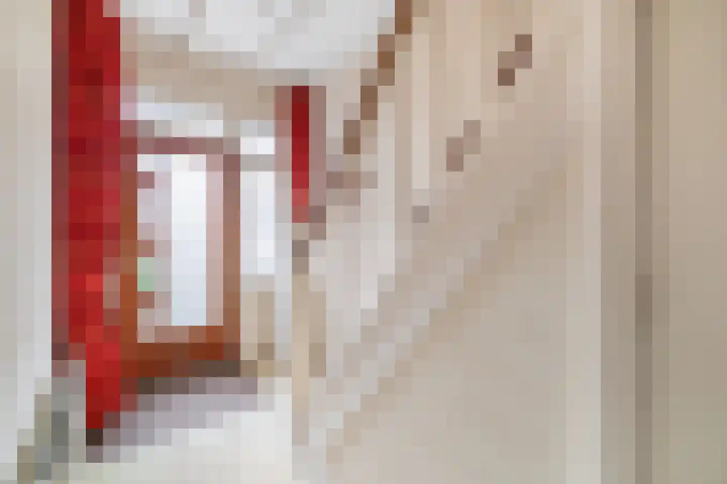 Noordelijke Dwarsweg 9 Zevenhuizen thumbnail 6