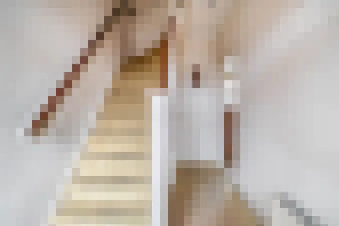 Noordelijke Dwarsweg 9 Zevenhuizen thumbnail 7