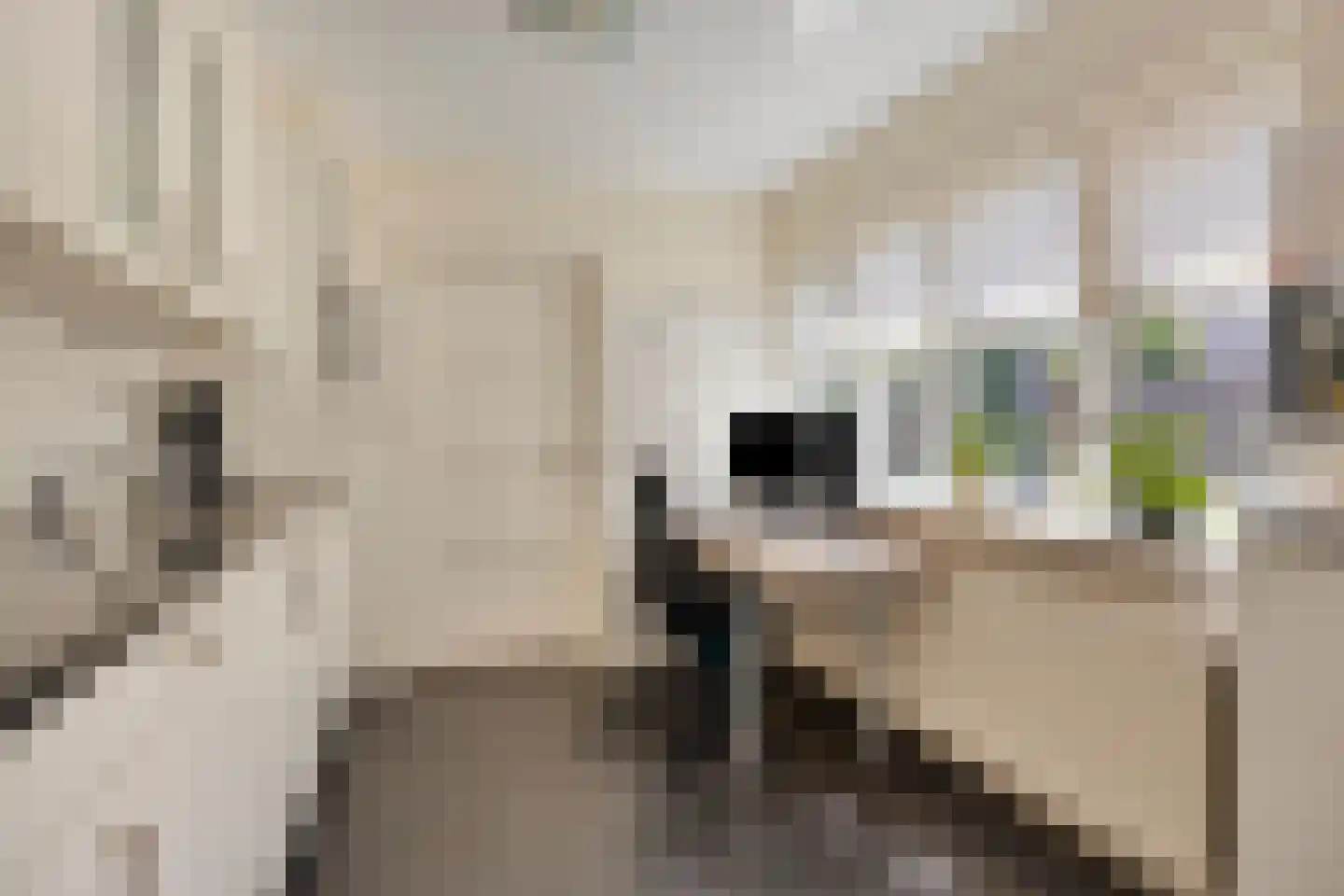Noordelijke Esweg 10 Hengelo thumbnail 17