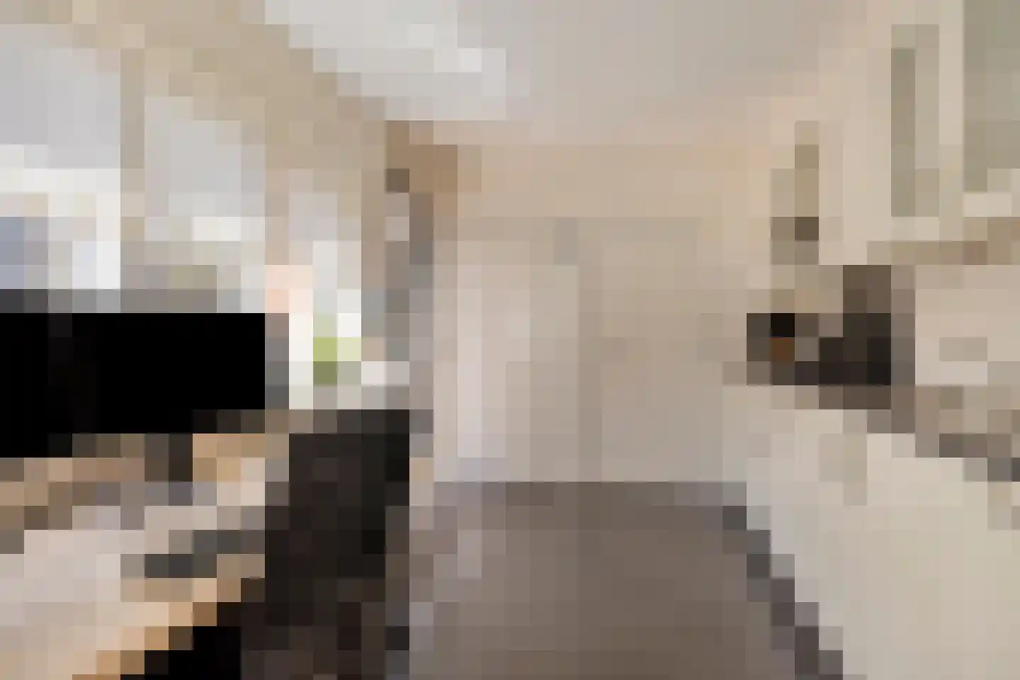 Noordelijke Esweg 10 Hengelo thumbnail 18