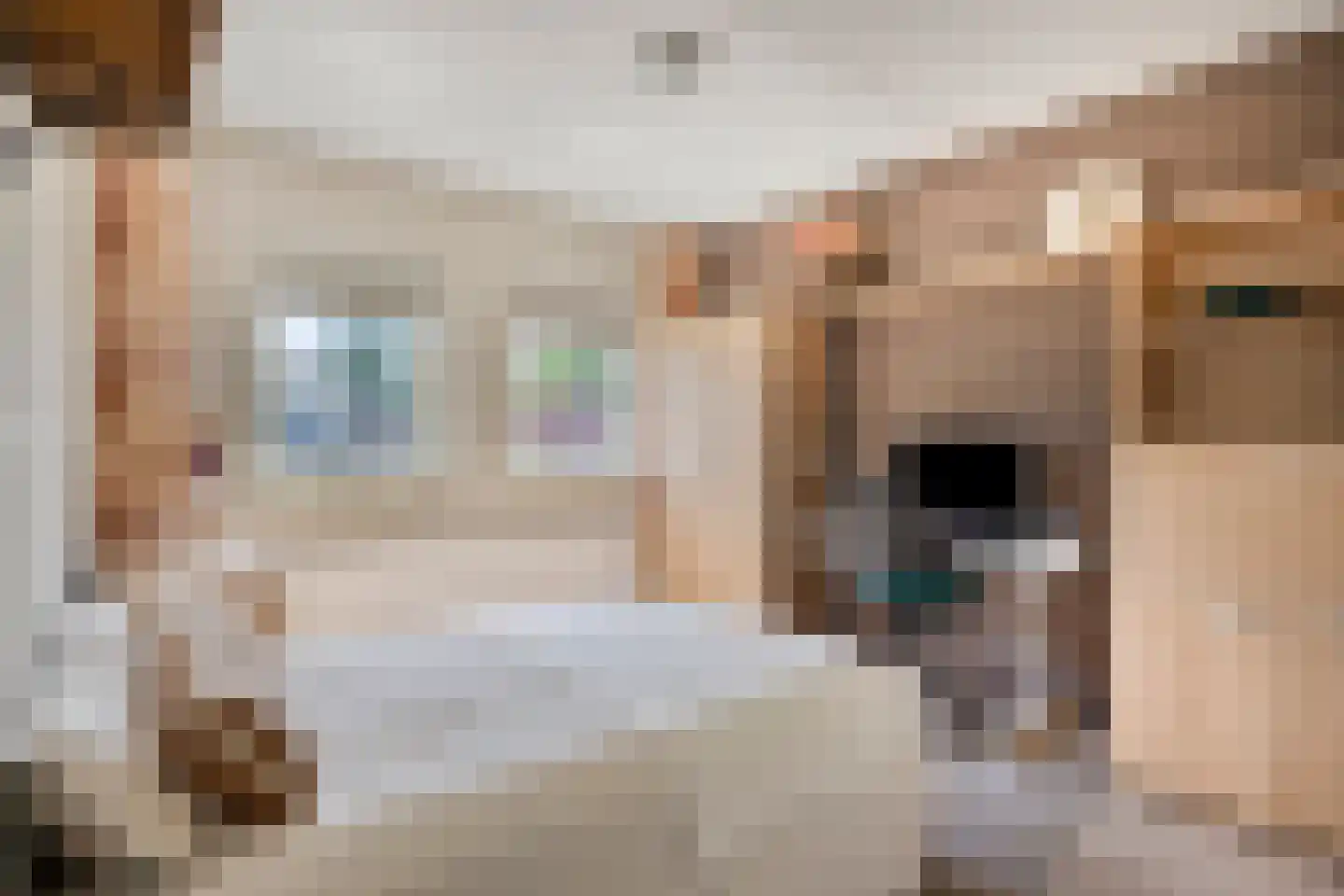 Noordelijke Esweg 10 Hengelo thumbnail 25