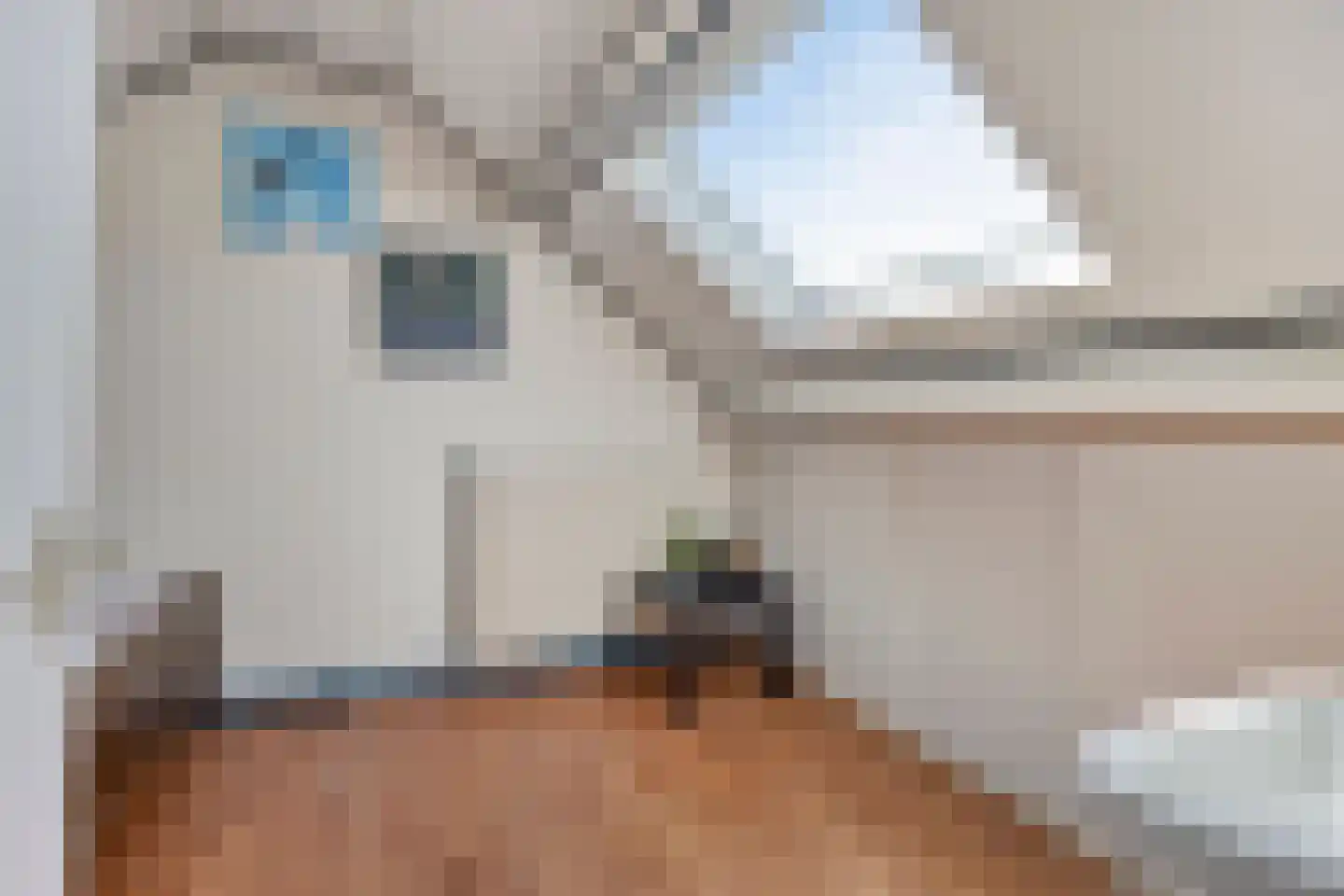 Noordelijke Esweg 10 Hengelo thumbnail 30
