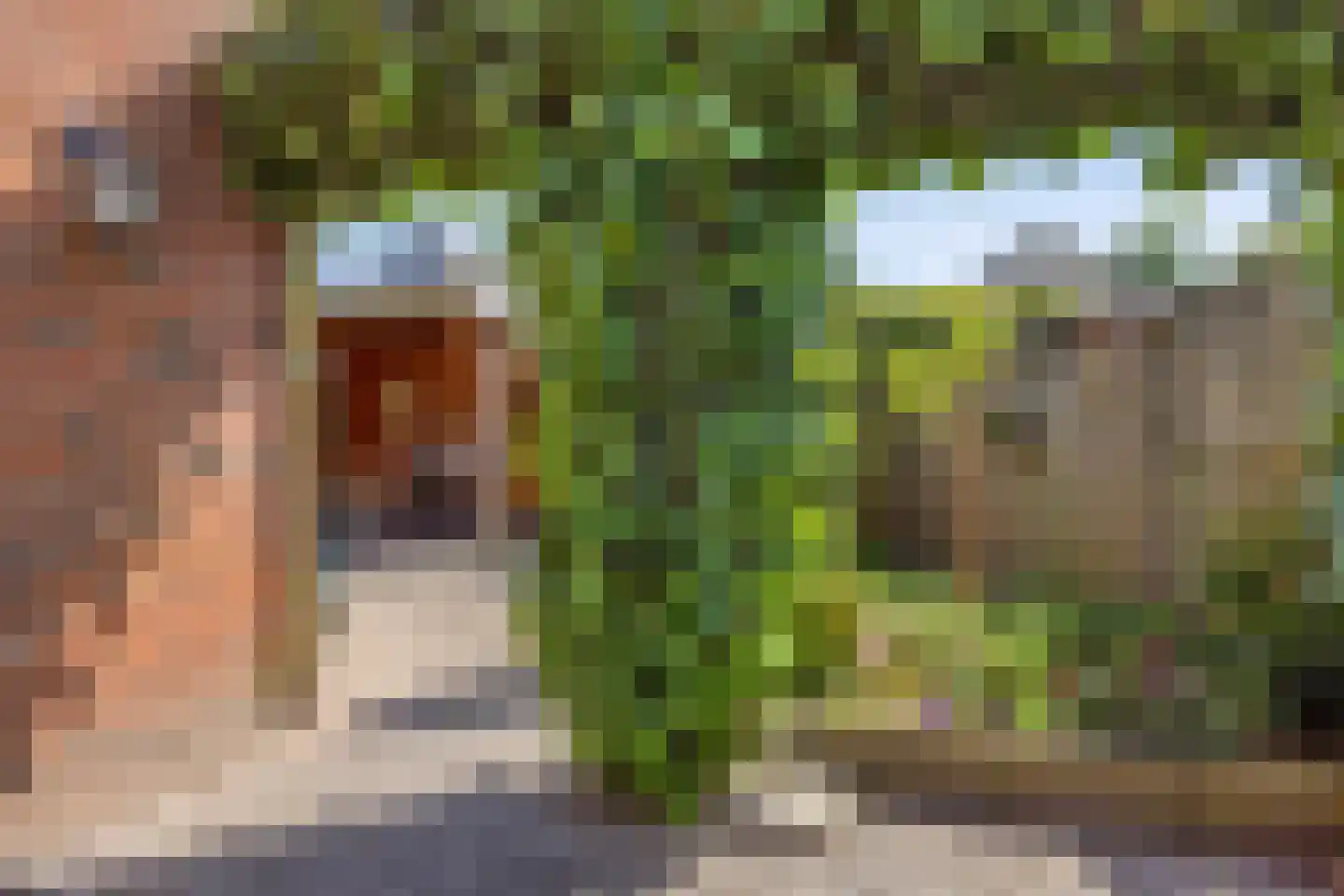 Noordelijke Esweg 10 Hengelo thumbnail 35