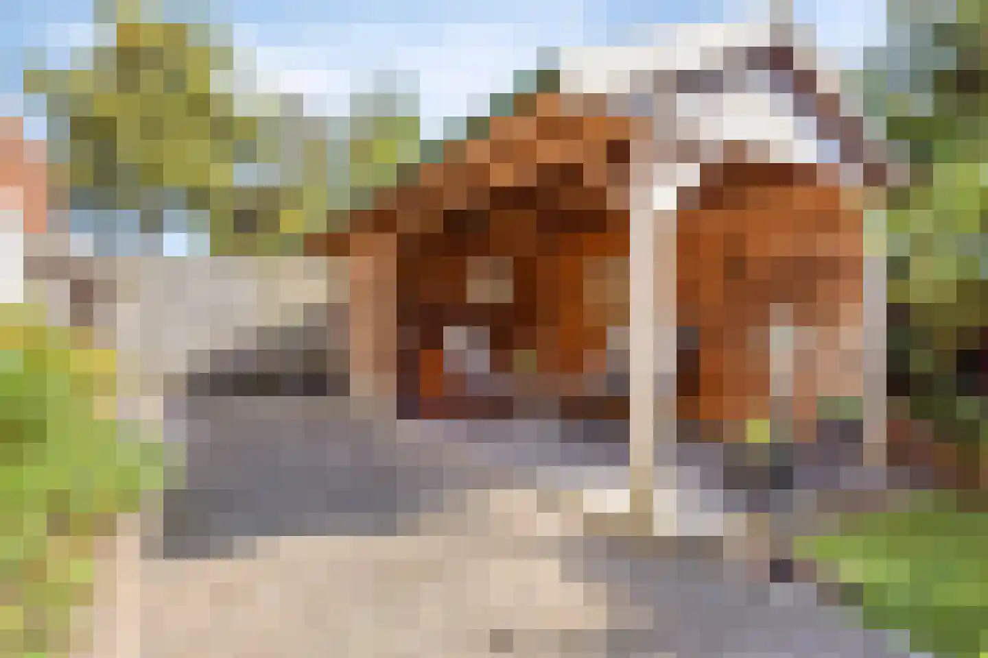 Noordelijke Esweg 10 Hengelo thumbnail 36